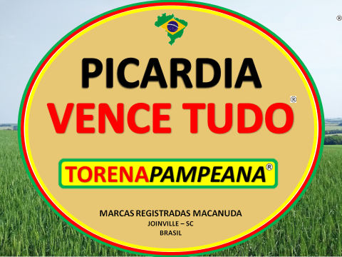 PICARDIA VENCE TUDO E TORENA PAMPEANA MÁQUINAS EM TASSO FRAGOSO MA